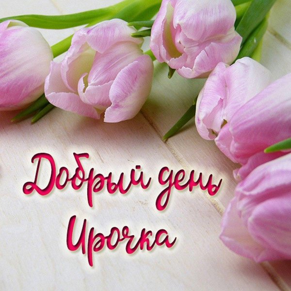 нежные тюльпаны