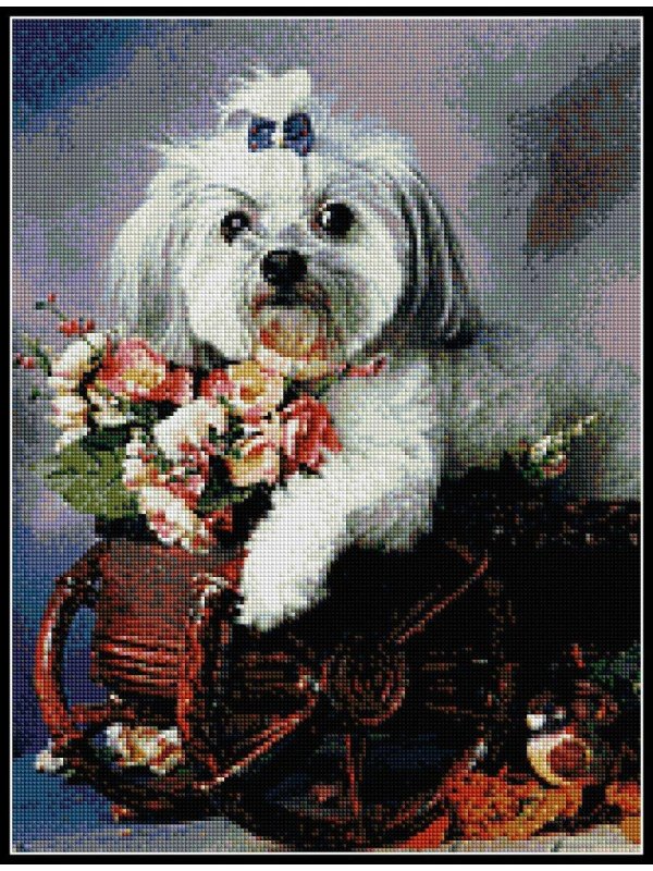 собачка с цветами