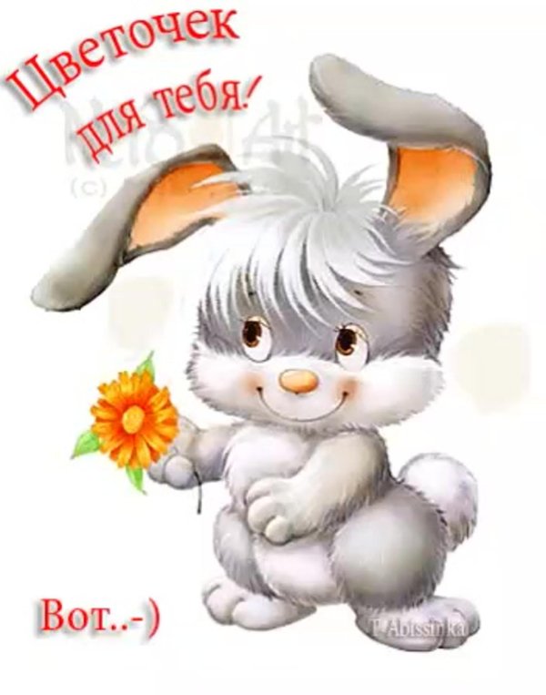 доброе утро зайчонок