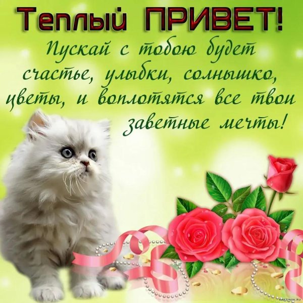 теплый привет