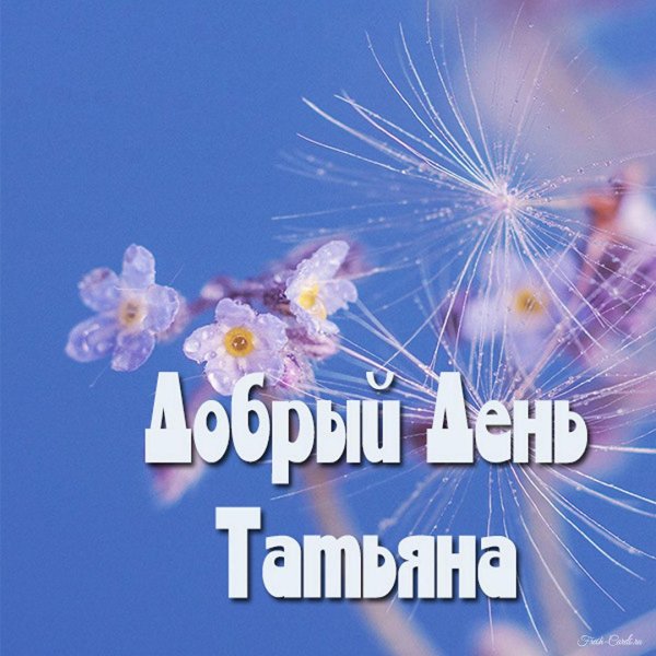 добрый день таня