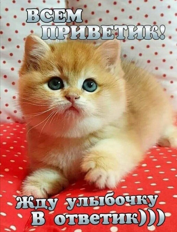 приветик улыбнись в ответик