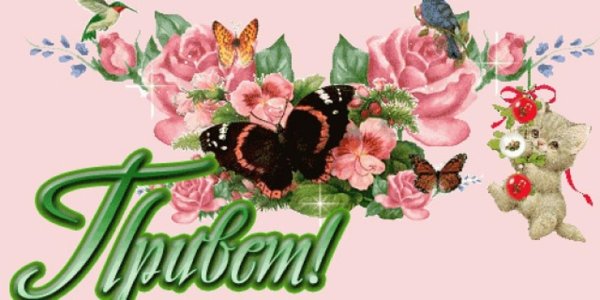 красивое приветствие