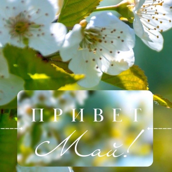 доброе весеннее майское утро