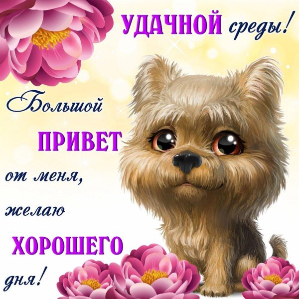 хорошей среды