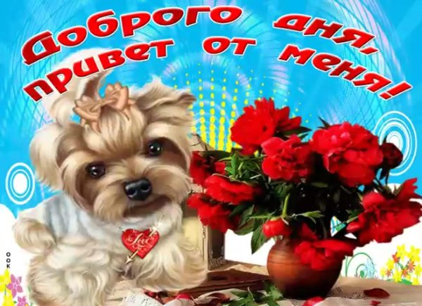 открытки добрый вечер прикольные