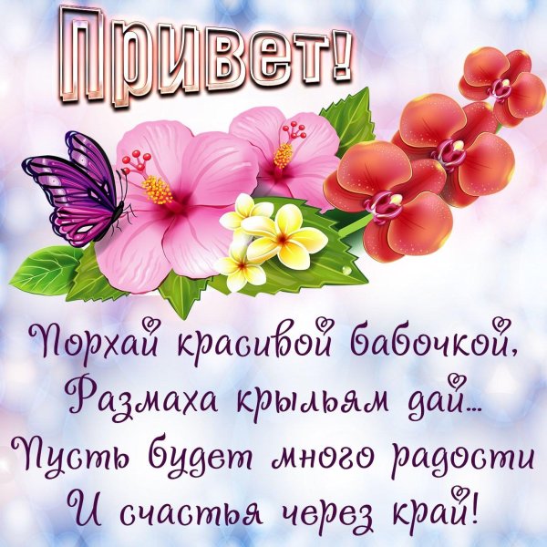 привет открытки красивые женщине