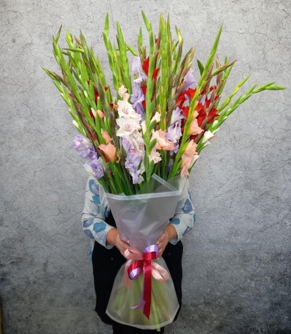 гладиолус микс