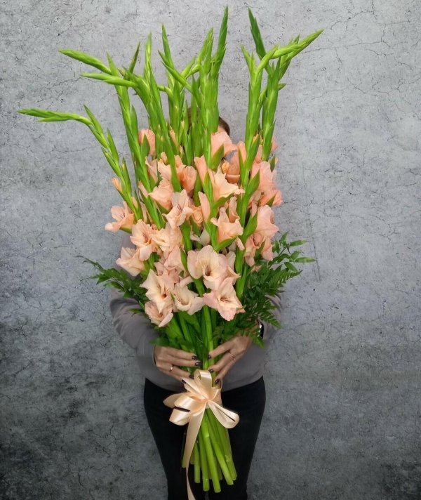 гладиолусы персикового цвета