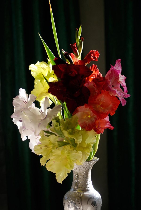 ваза с гладиолусами