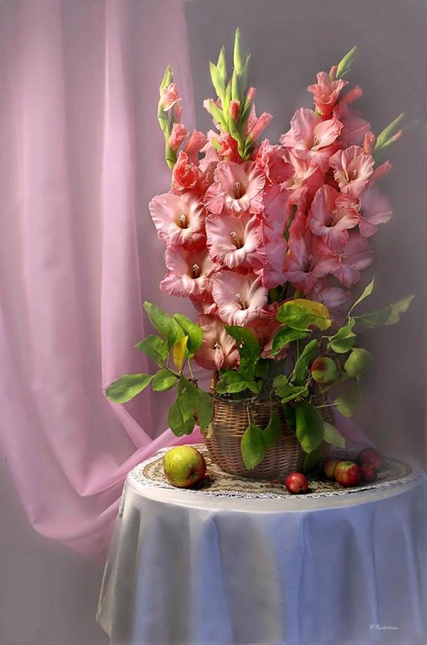 фотонатюрморты с гладиолусами