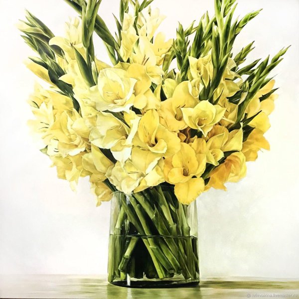 гладиолусы гарден вельвет