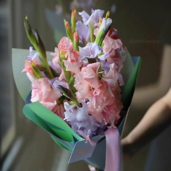 гладиолусы нежные