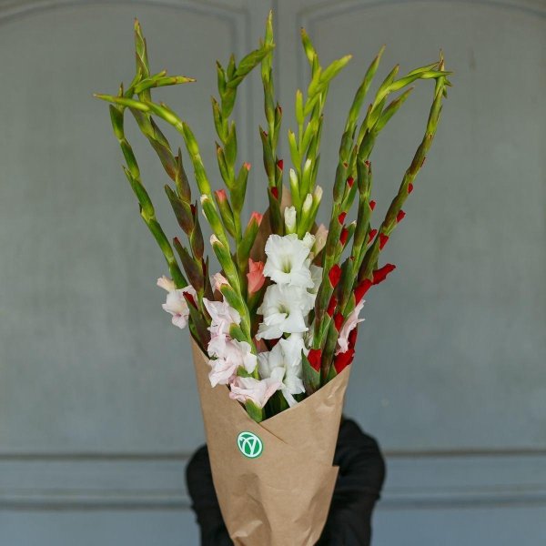 букеты гладиолусы с камышами