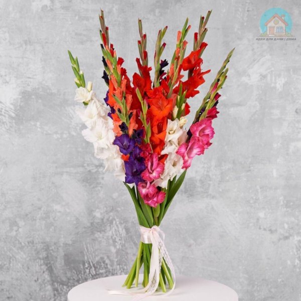 букеты микс и гладиолус