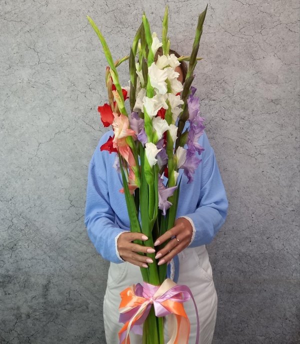 гладиолусы разноцветные