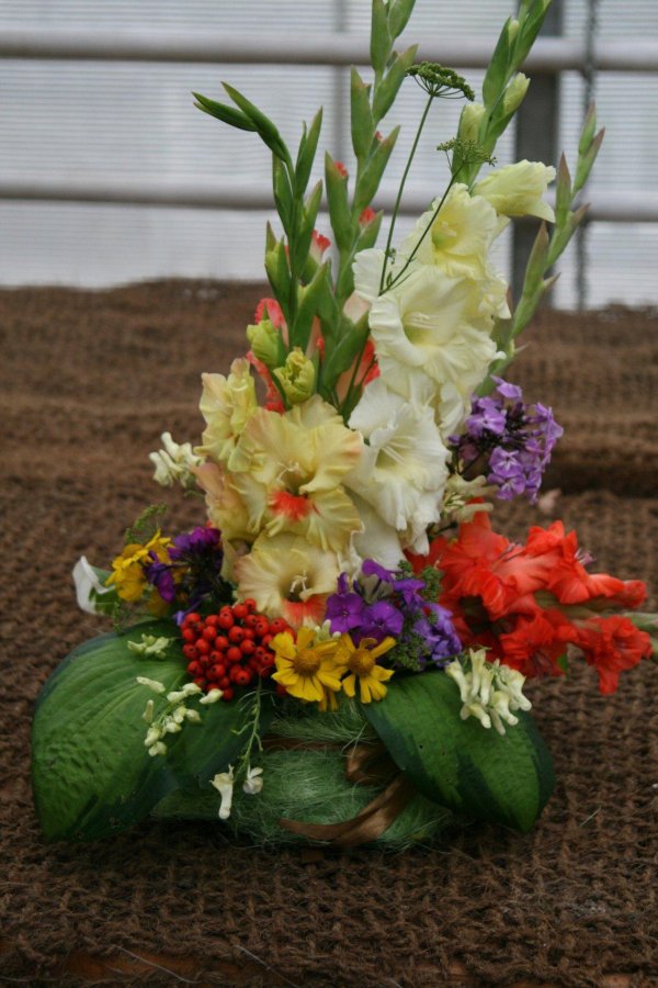 клумба для гладиолусов