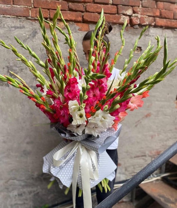 гладиолусы монобукет