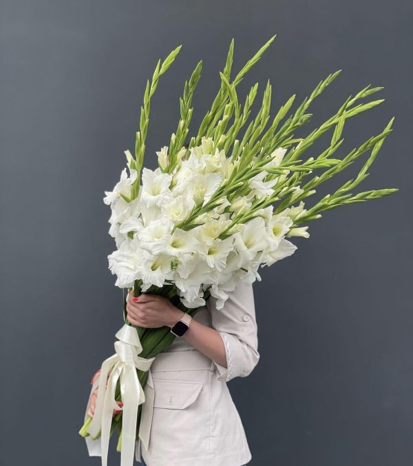 белые гладиолусы