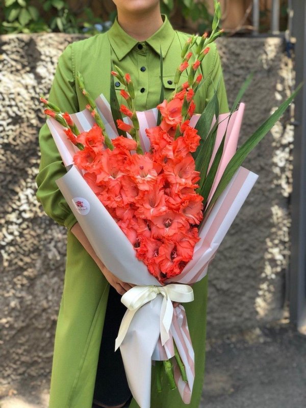 гладиолус коралловый