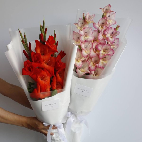 букет гладиолусов без упаковки