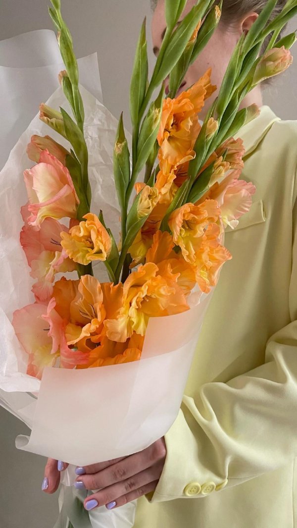 гладиолусы персикового цвета