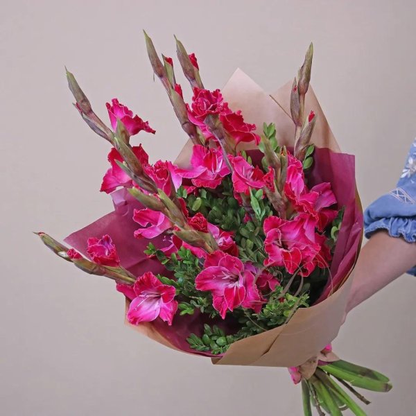 гладиолус малиновый