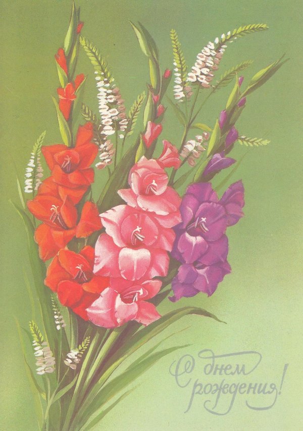 открытки с гладиолусами с днем рождения женщине