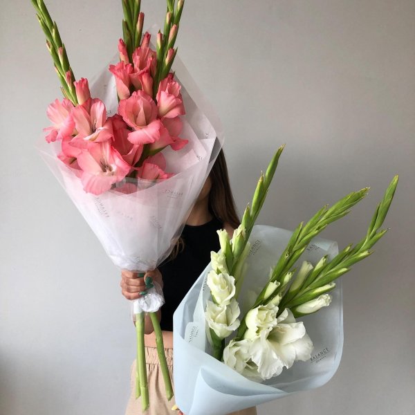 упаковка гладиолусов