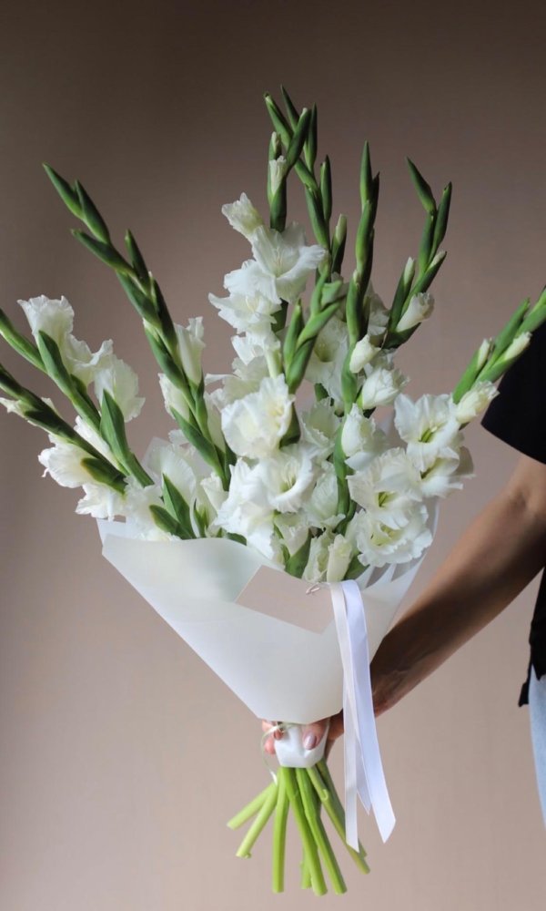 гладиолус белый