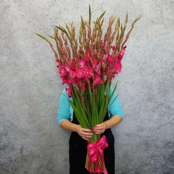 букет красных гладиолусов