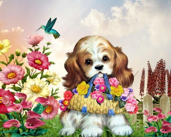 собачка красивая