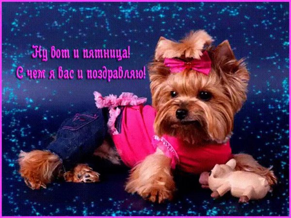 прекрасная пятница