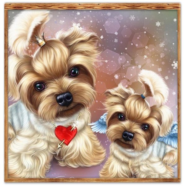 йоркширский терьер