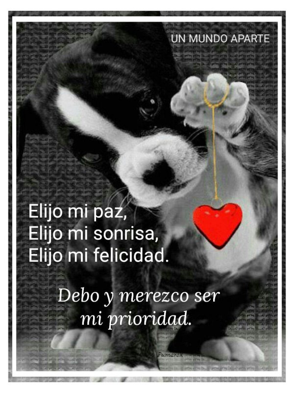 моему другу