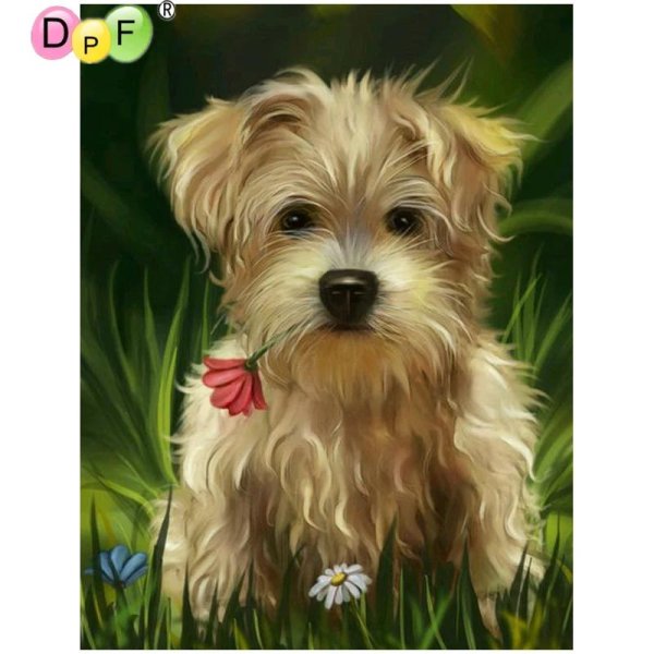 йоркширский терьер