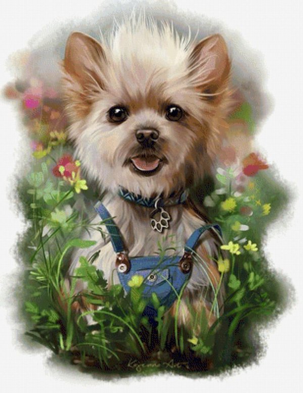 открытка с йоркширским терьером