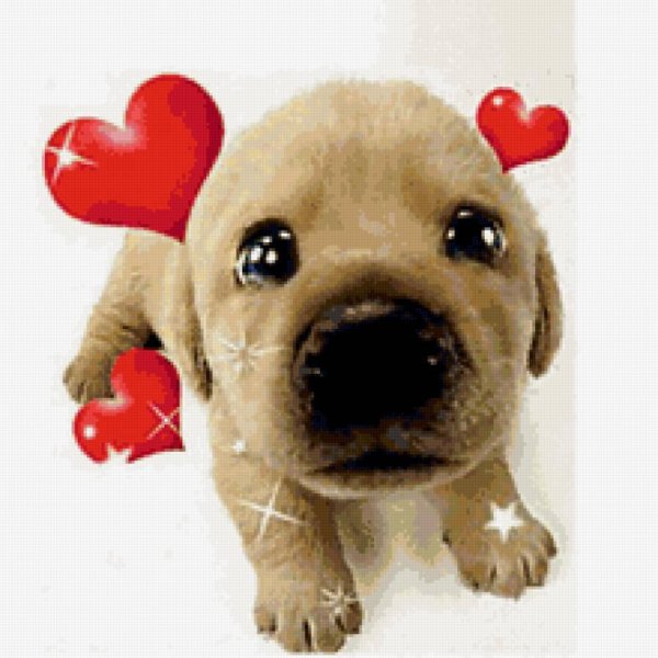 собачка с сердечком