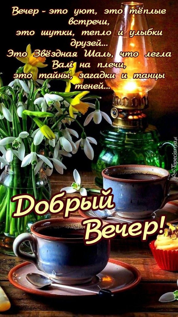 добр вечер