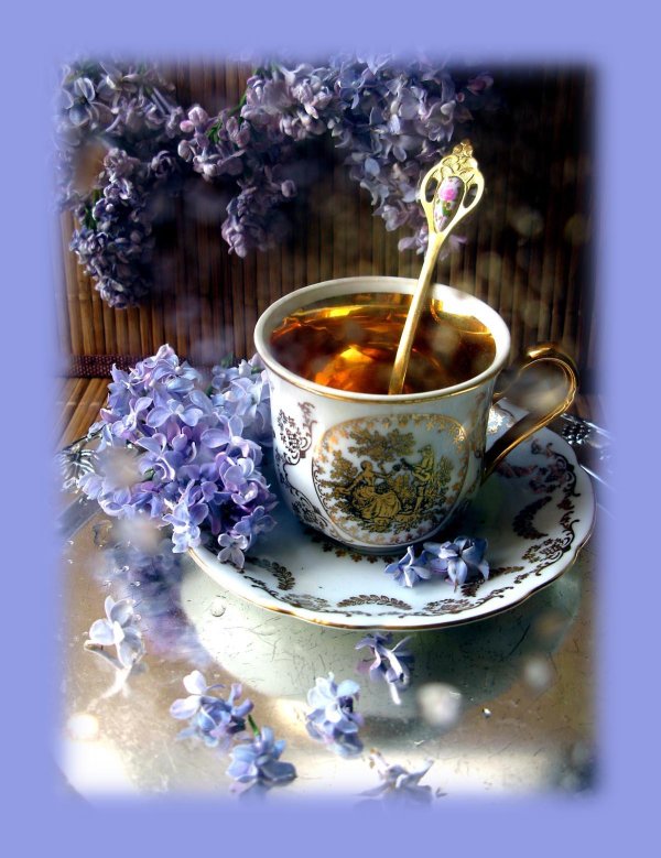 Добрый вечер с чашкой чая с надписями