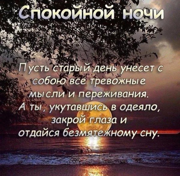 высказывания про вечер