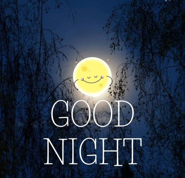 гуднайт мун