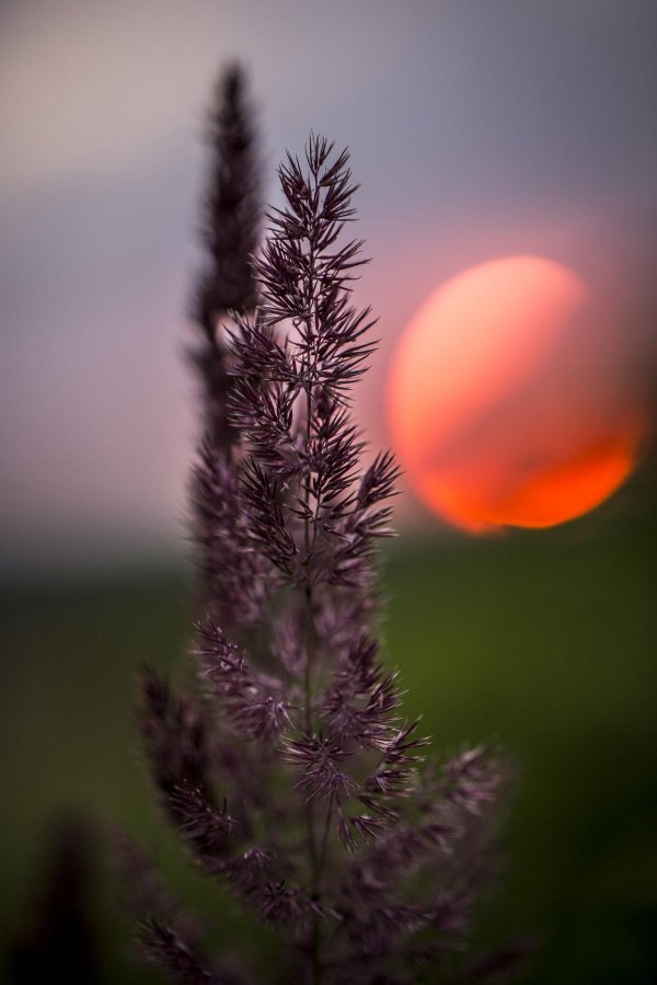 закат макро