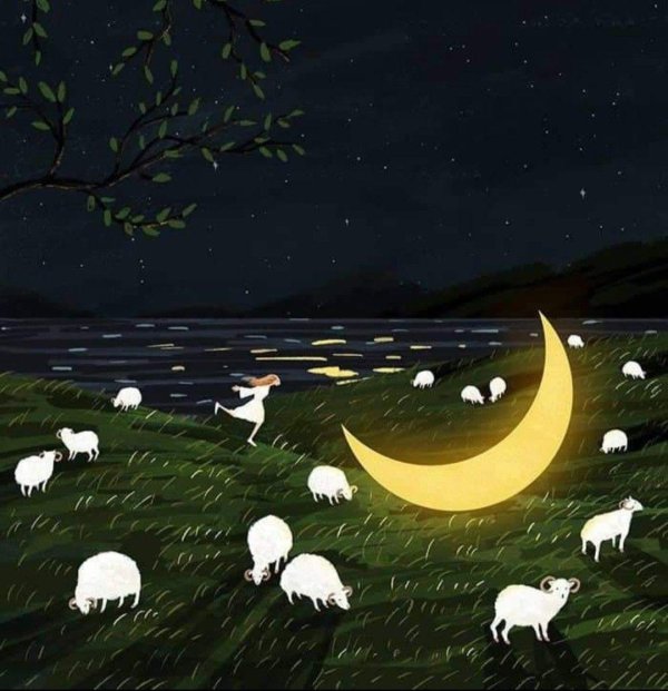 овечки перед сном