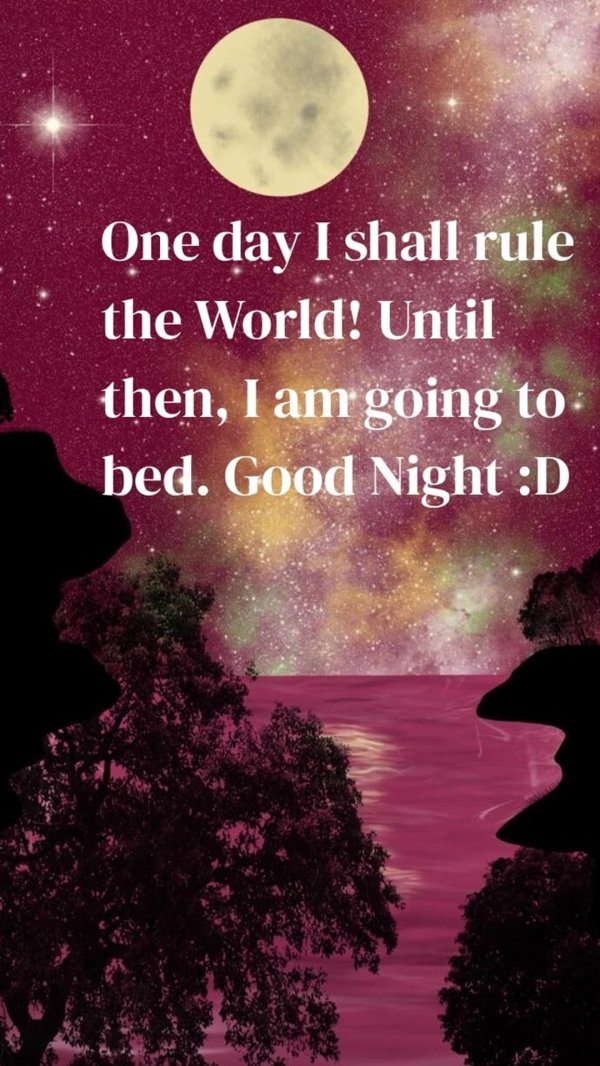 good night quote