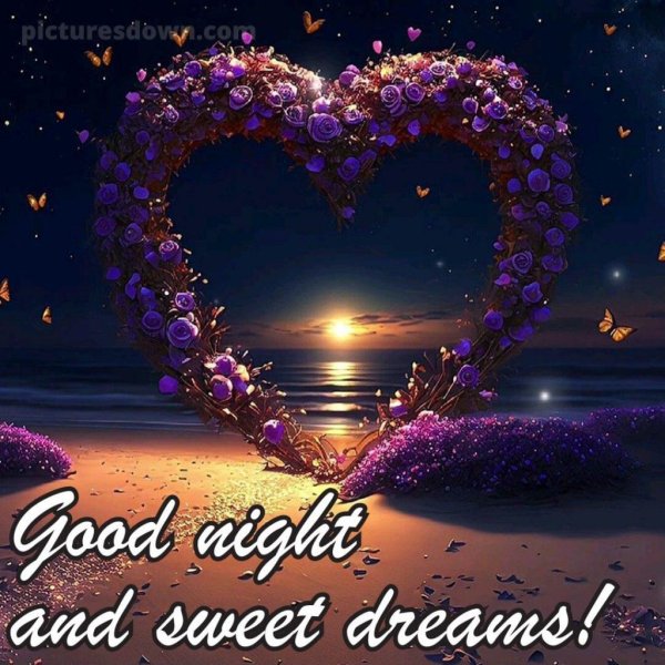 good night sweet dreams