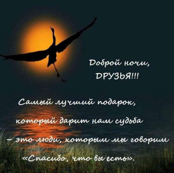 журавли на закате