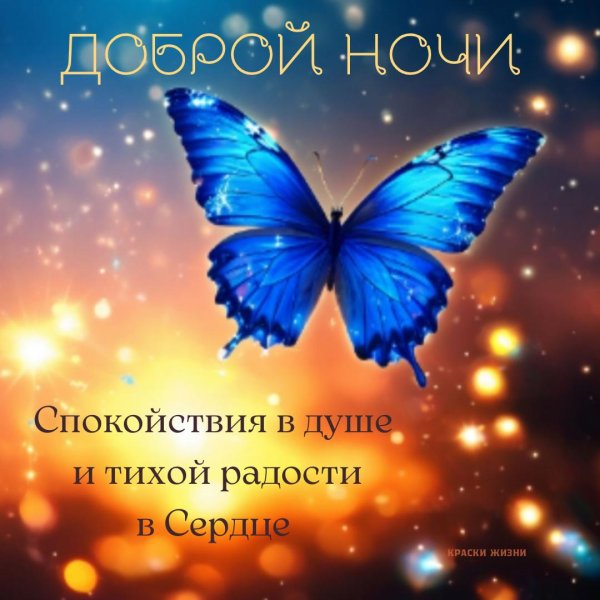 синие бабочки