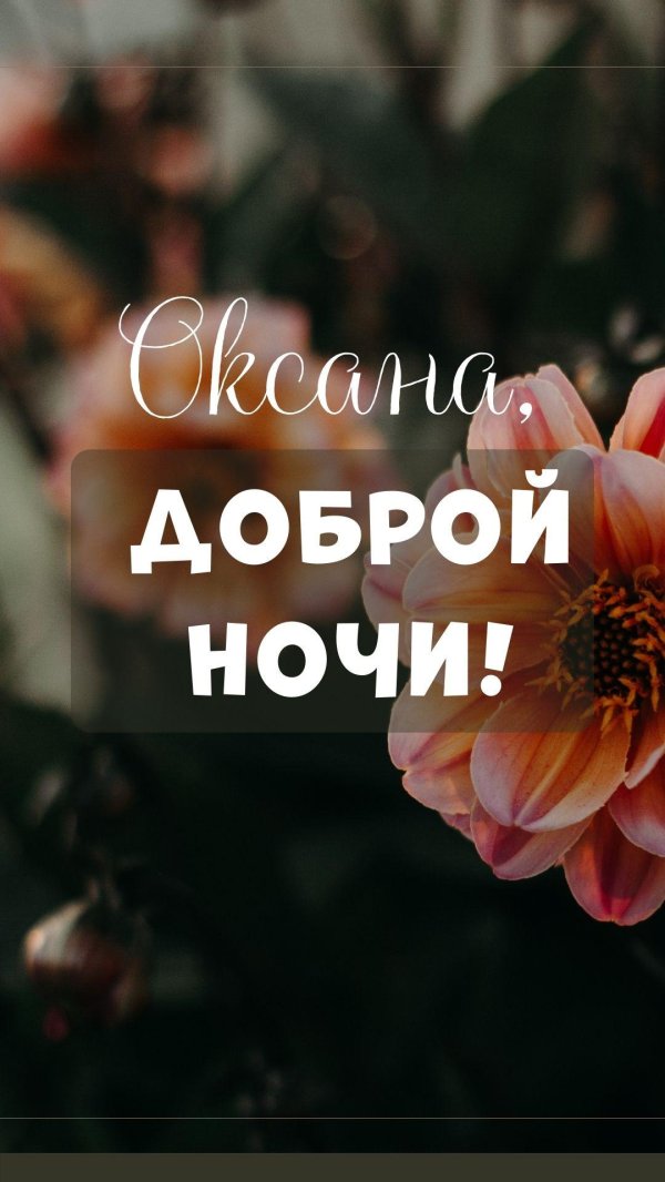 доброй ночи олечка