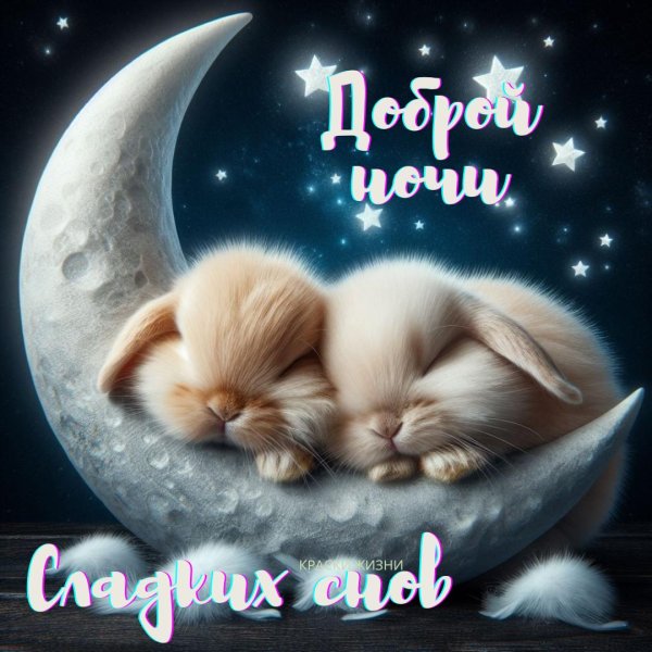 доброй ночи сладких снов